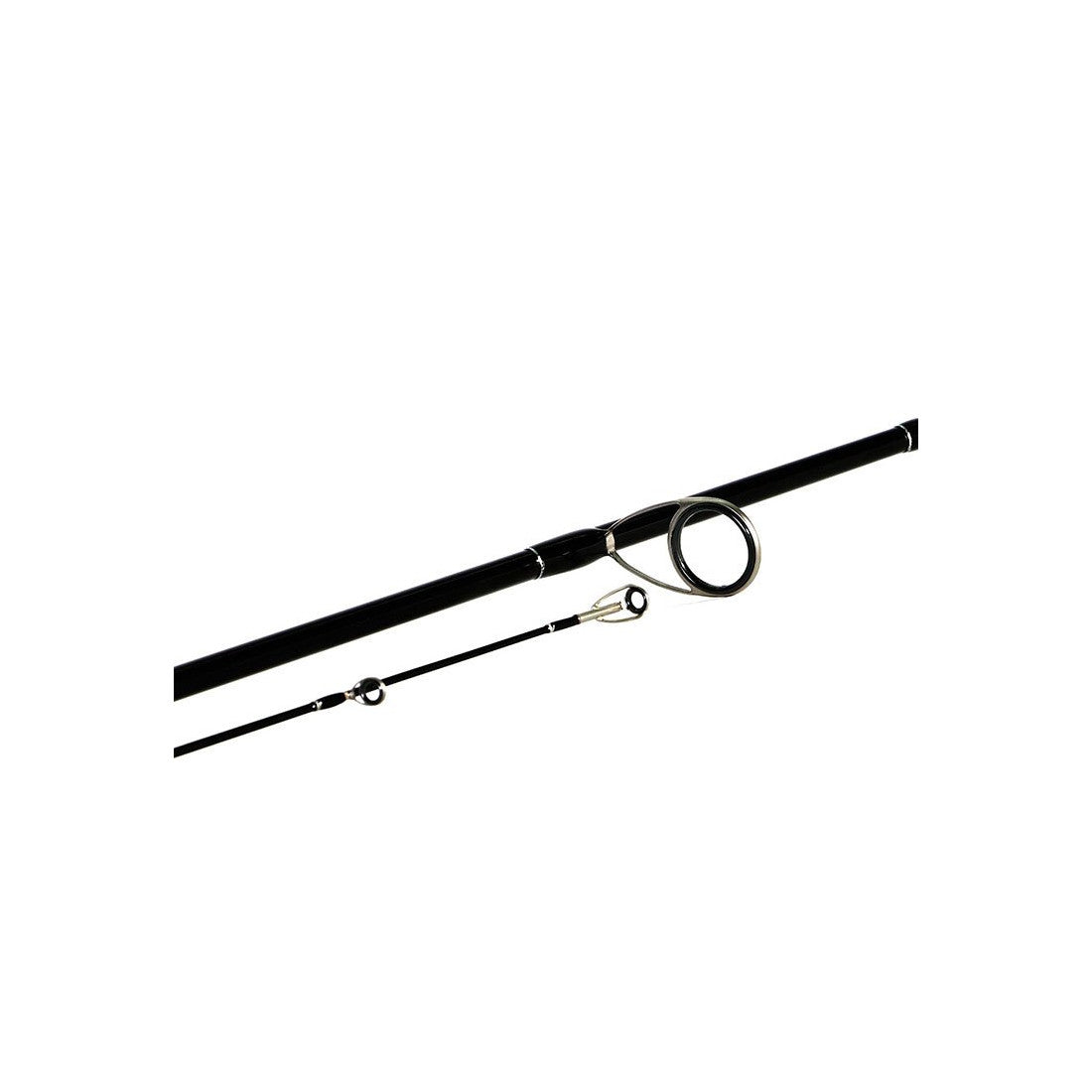 Shimano Bassterra seabass