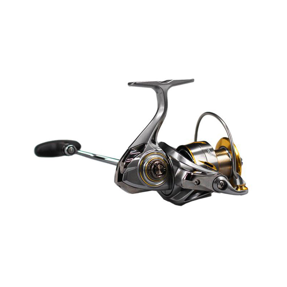 Ryobi Zauber SW 2000
