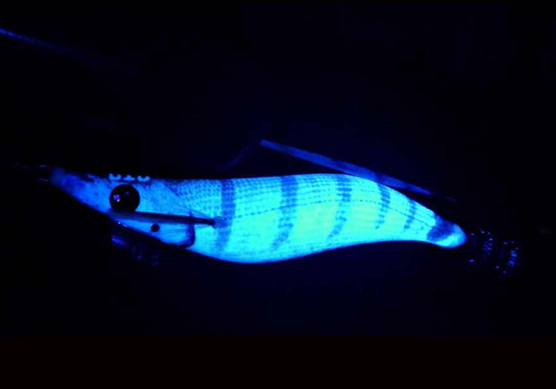 DTD REAL FISH EGI 3.0