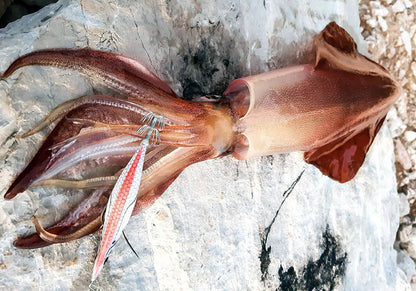 WHITE KILLER EGI 3.0